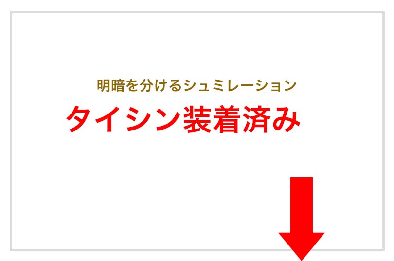 明暗を分けるシュミレーション　タイシン装着済み